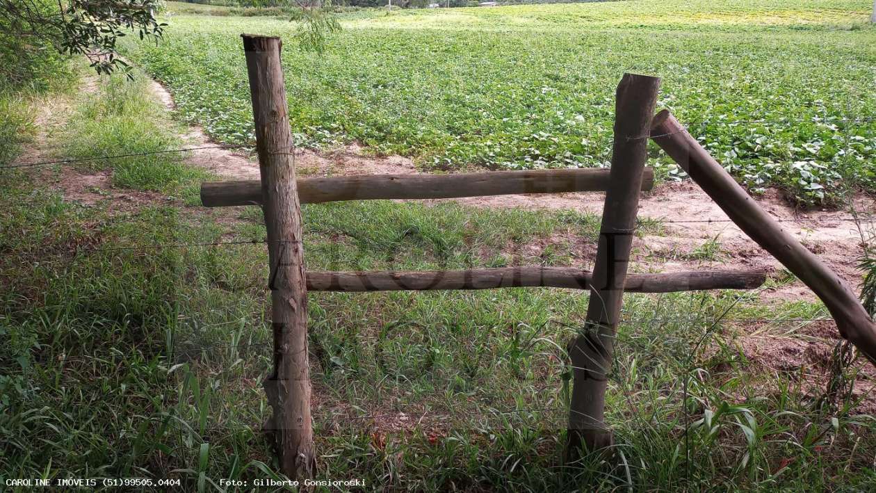 Fazenda, 21 hectares - Foto 3