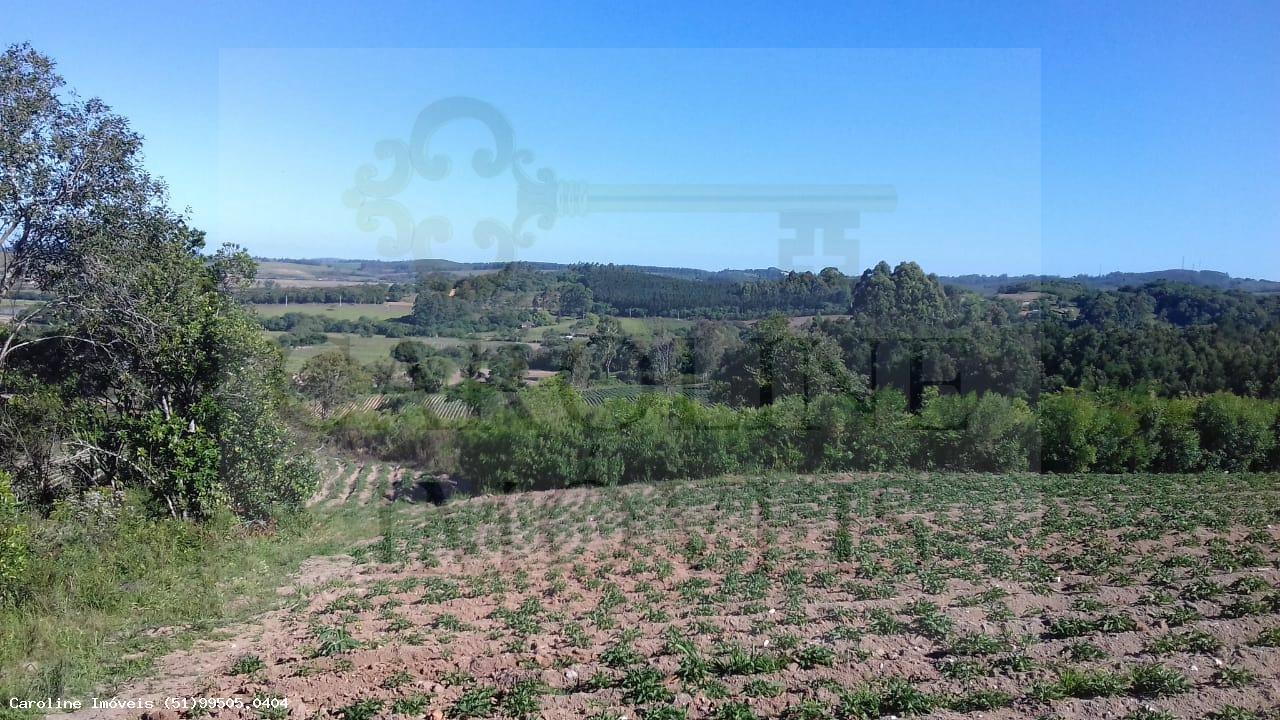 Fazenda, 21 hectares - Foto 8