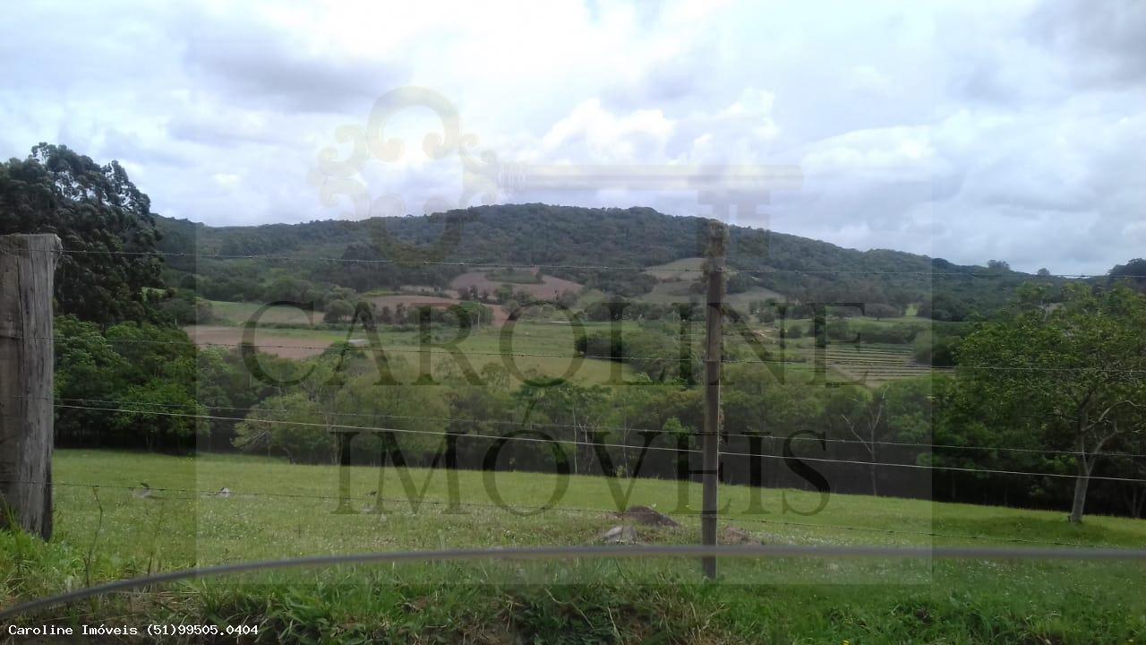 Fazenda, 21 hectares - Foto 9