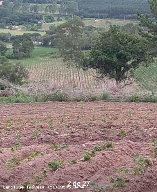 Fazenda, 21 hectares - Foto 15