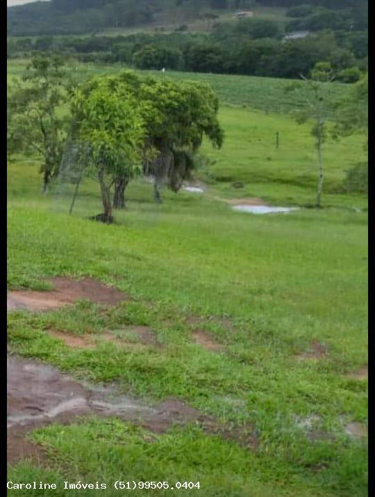 Fazenda, 21 hectares - Foto 25