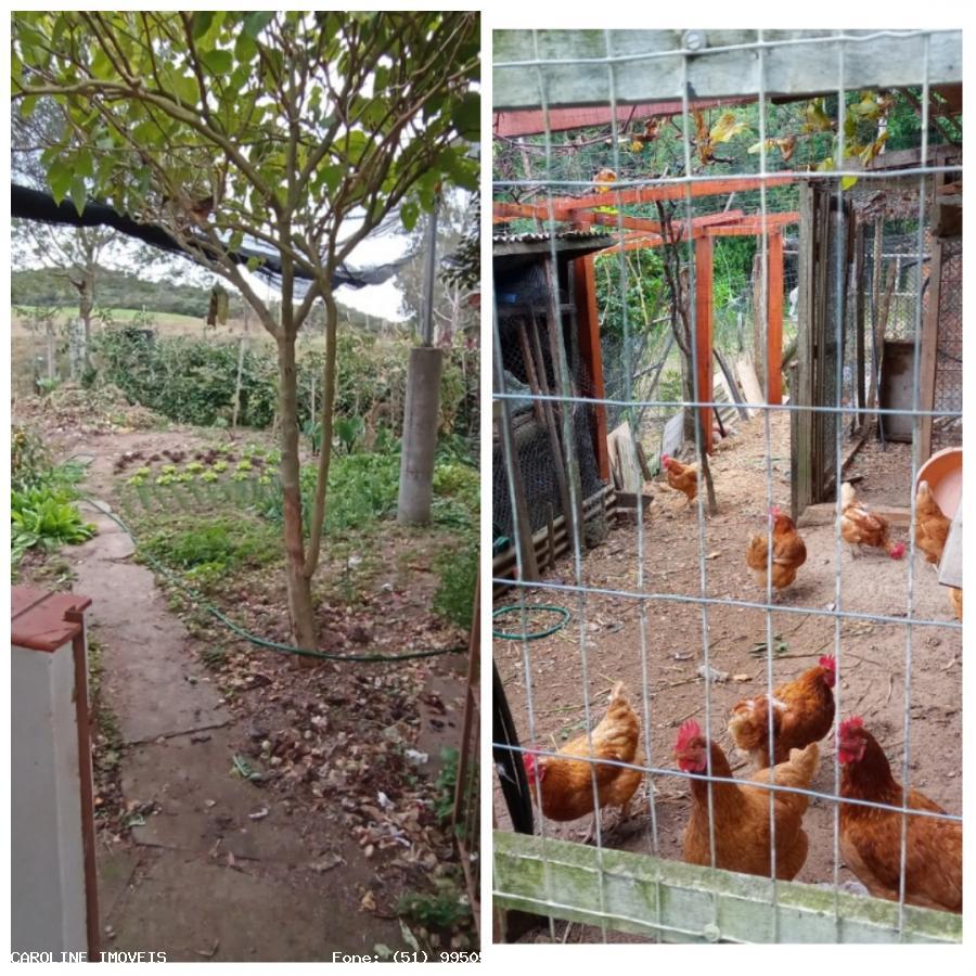 Casa, 4 quartos - Foto 31