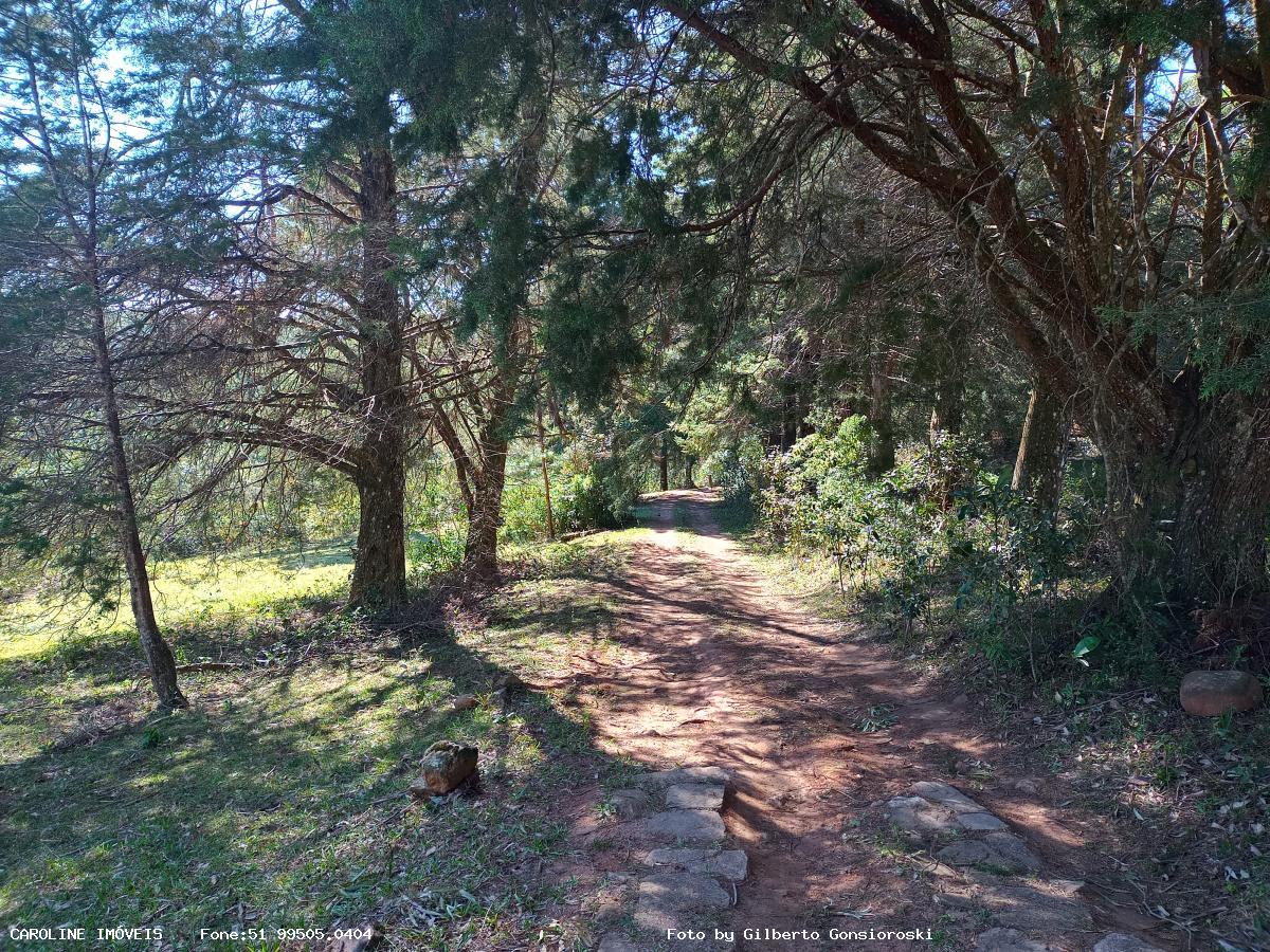 Sítio, 4 quartos, 16 hectares - Foto 10