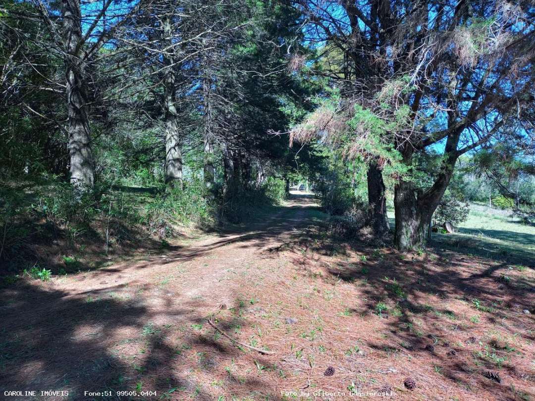 Sítio, 4 quartos, 16 hectares - Foto 13