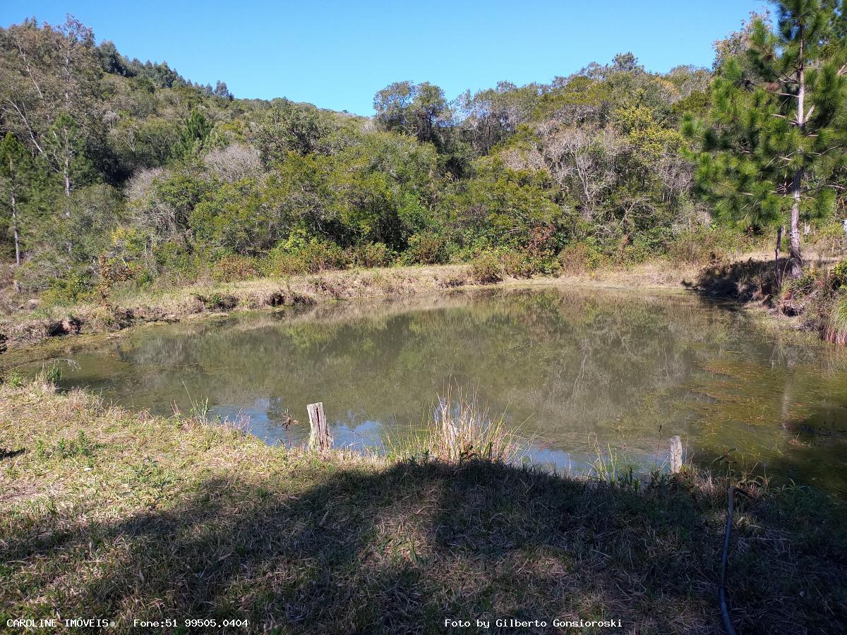 Sítio, 4 quartos, 16 hectares - Foto 25