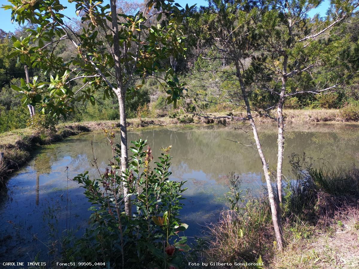 Sítio, 4 quartos, 16 hectares - Foto 22