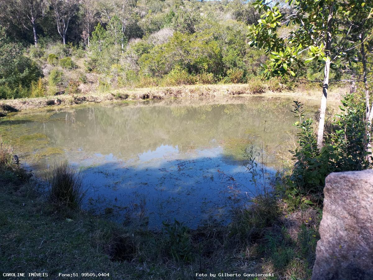 Sítio, 4 quartos, 16 hectares - Foto 23