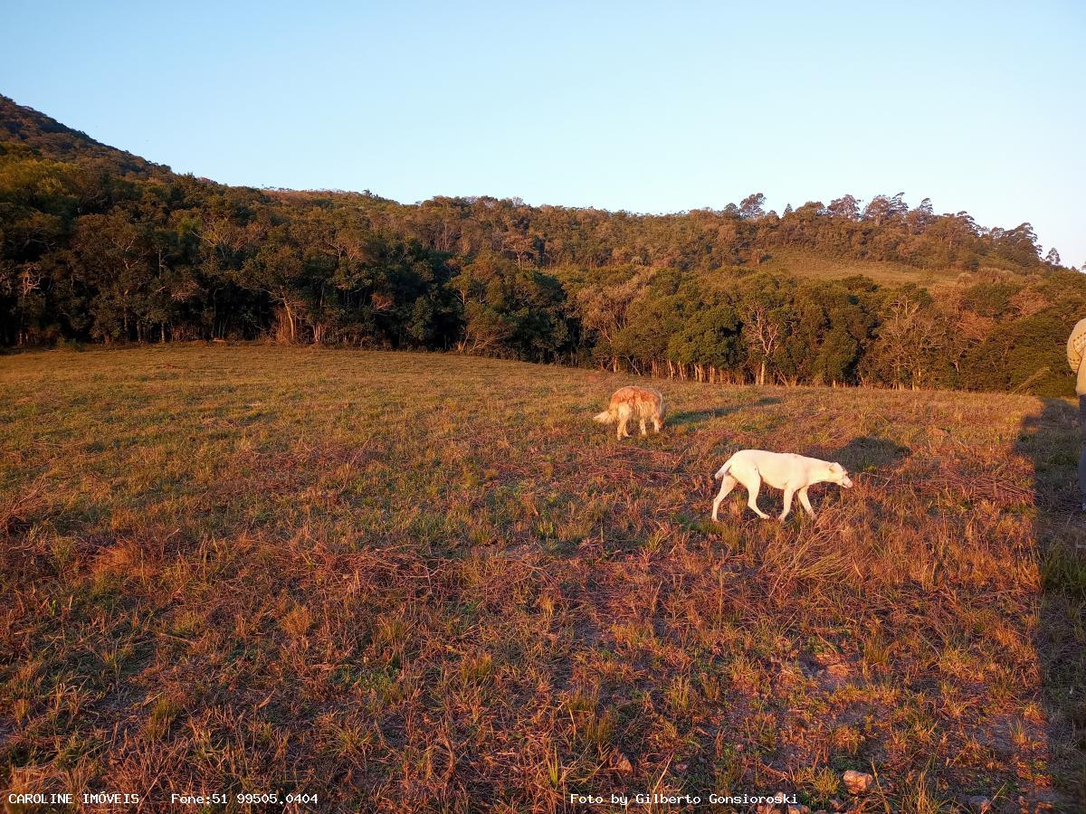 Fazenda, 59 hectares - Foto 26