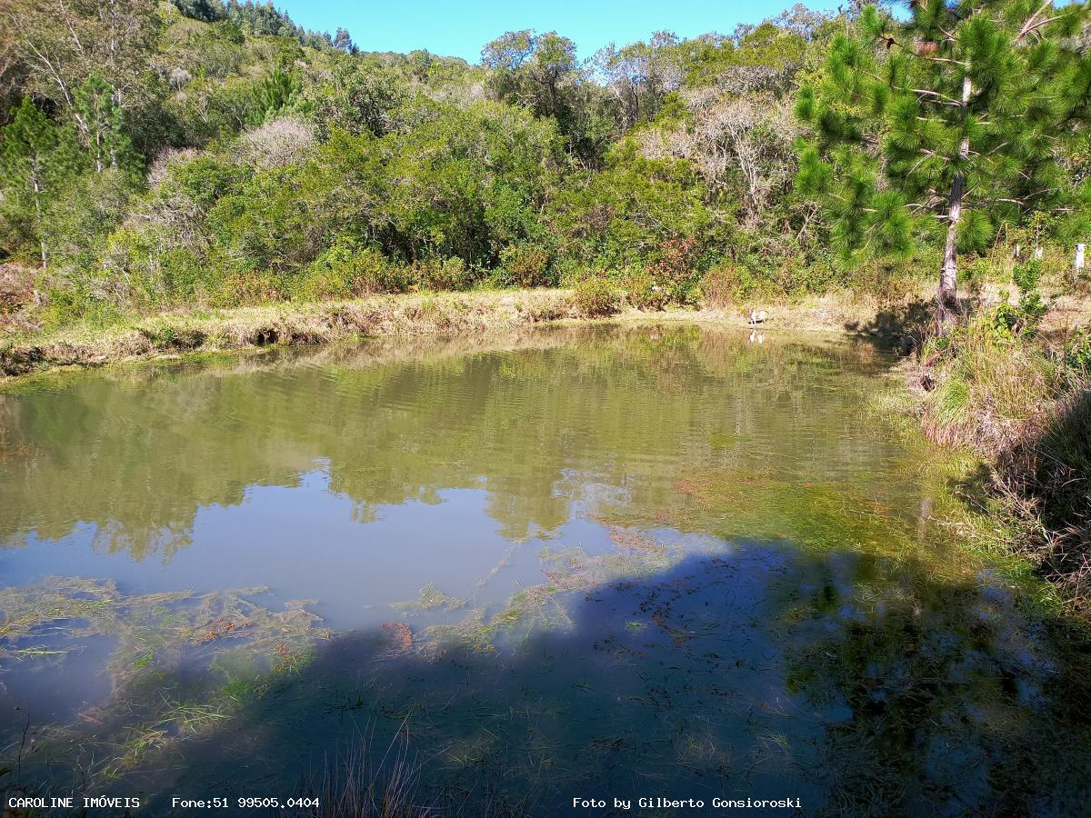 Sítio, 4 quartos, 16 hectares - Foto 24
