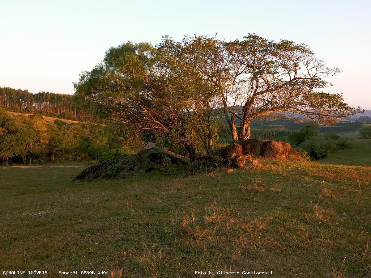 Fazenda, 59 hectares - Foto 27