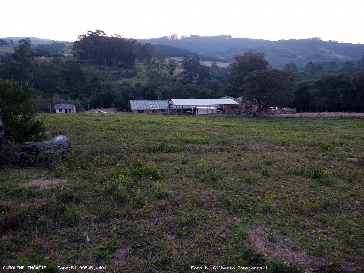 Fazenda, 59 hectares - Foto 30