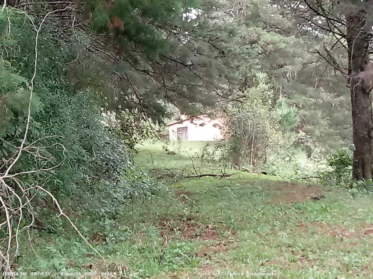 Sítio, 4 quartos, 16 hectares - Foto 3