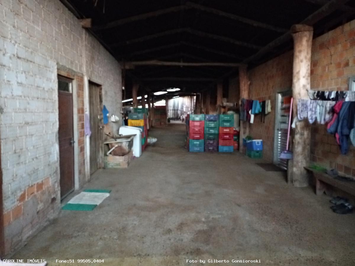 Fazenda, 59 hectares - Foto 10
