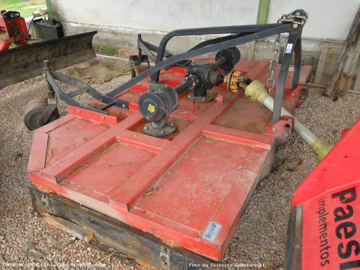 Fazenda, 49 hectares - Foto 10