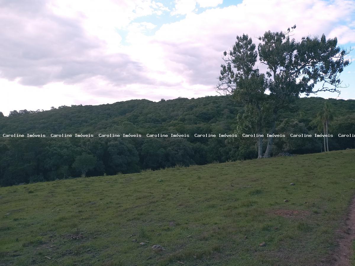 Sítio, 16 hectares - Foto 8