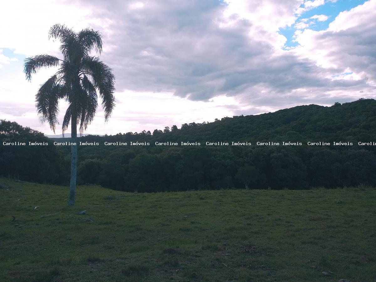 Sítio, 16 hectares - Foto 9