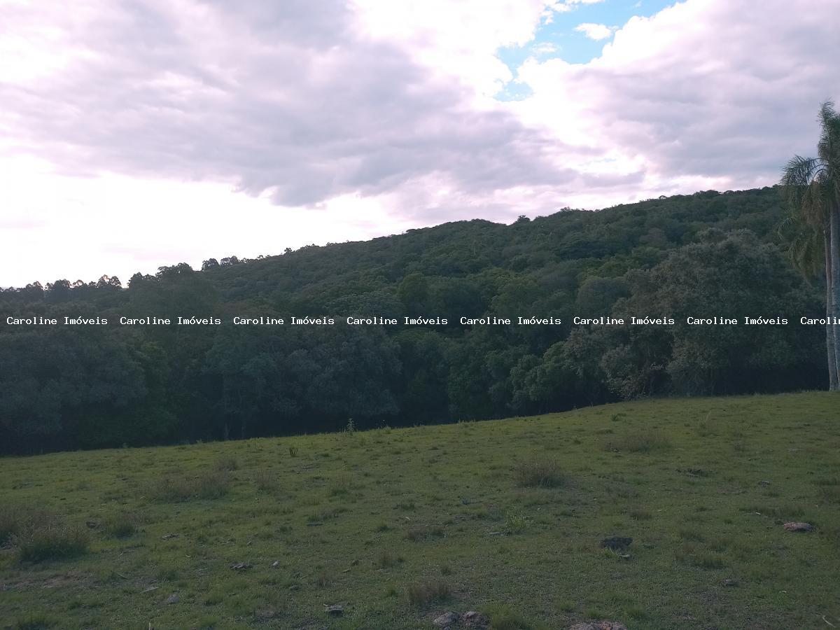 Sítio, 16 hectares - Foto 11