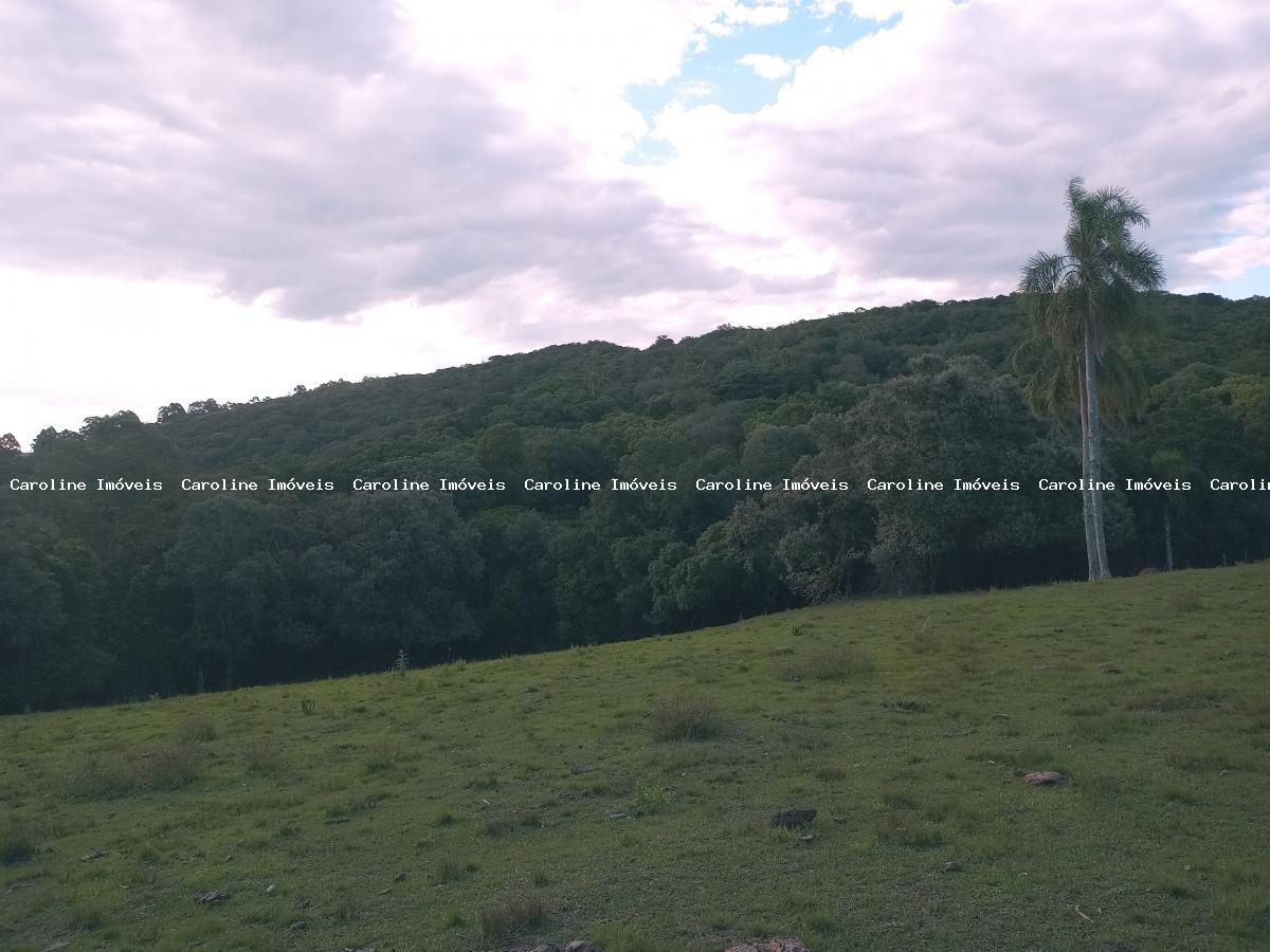 Sítio, 16 hectares - Foto 12