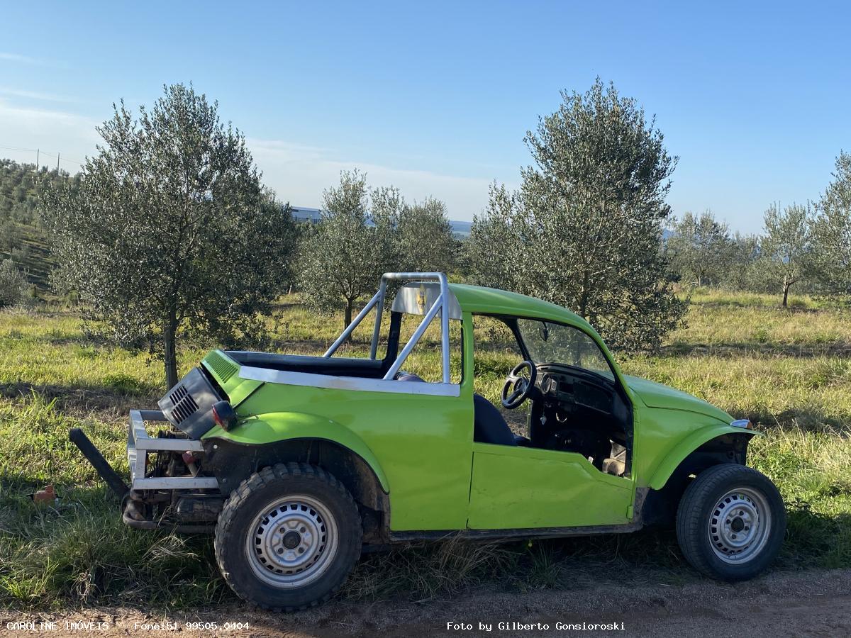 Fazenda, 49 hectares - Foto 17