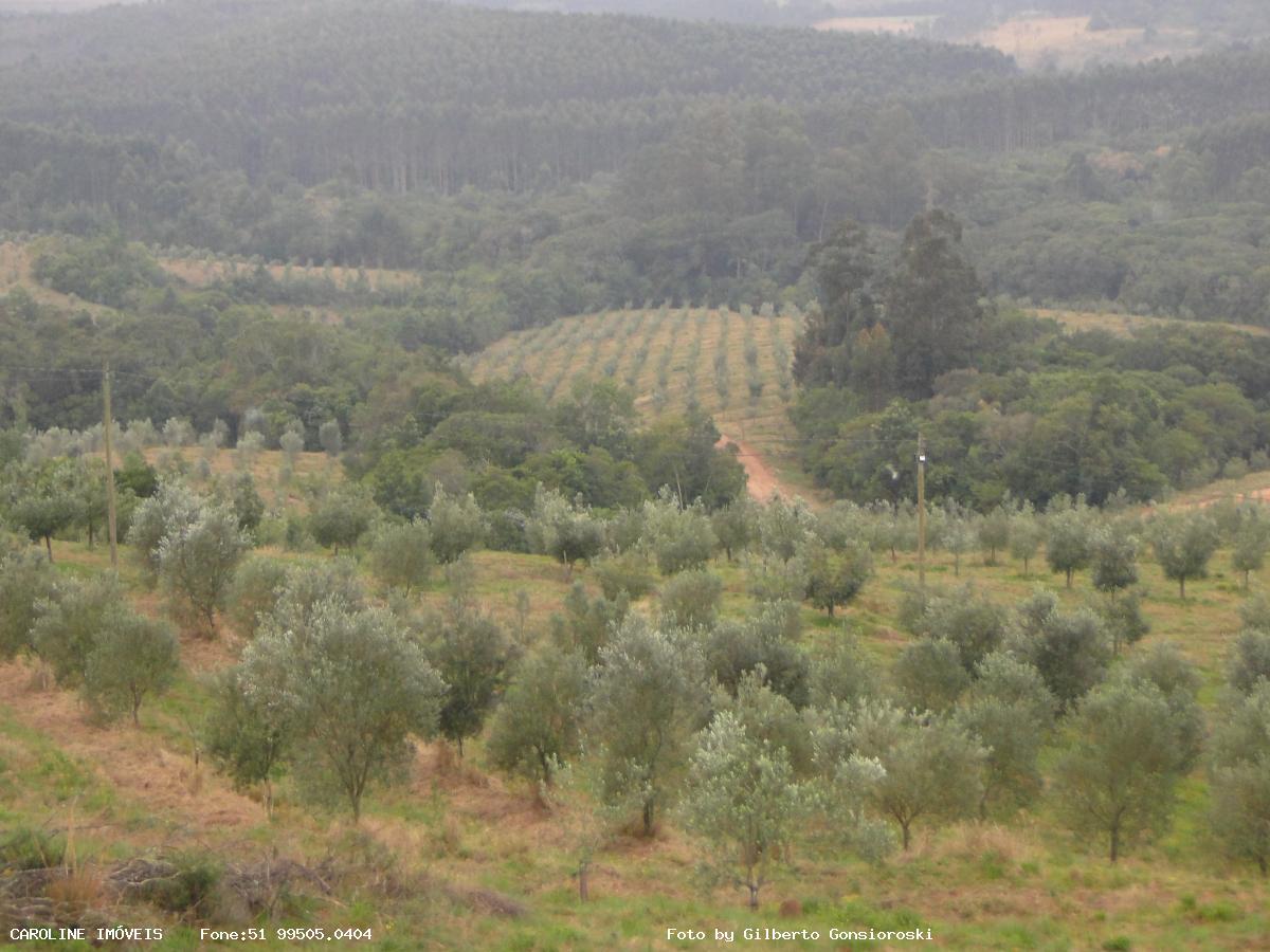 Fazenda, 49 hectares - Foto 19