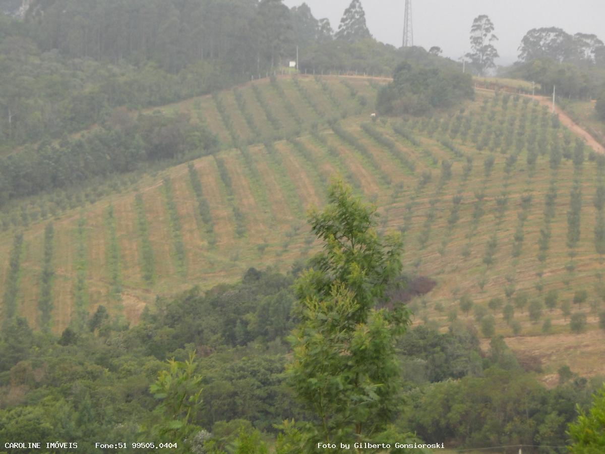 Fazenda, 49 hectares - Foto 20