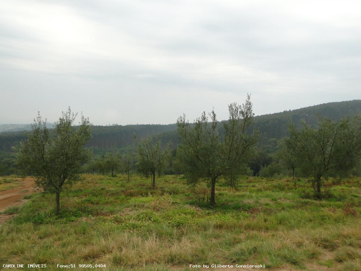 Fazenda, 49 hectares - Foto 23