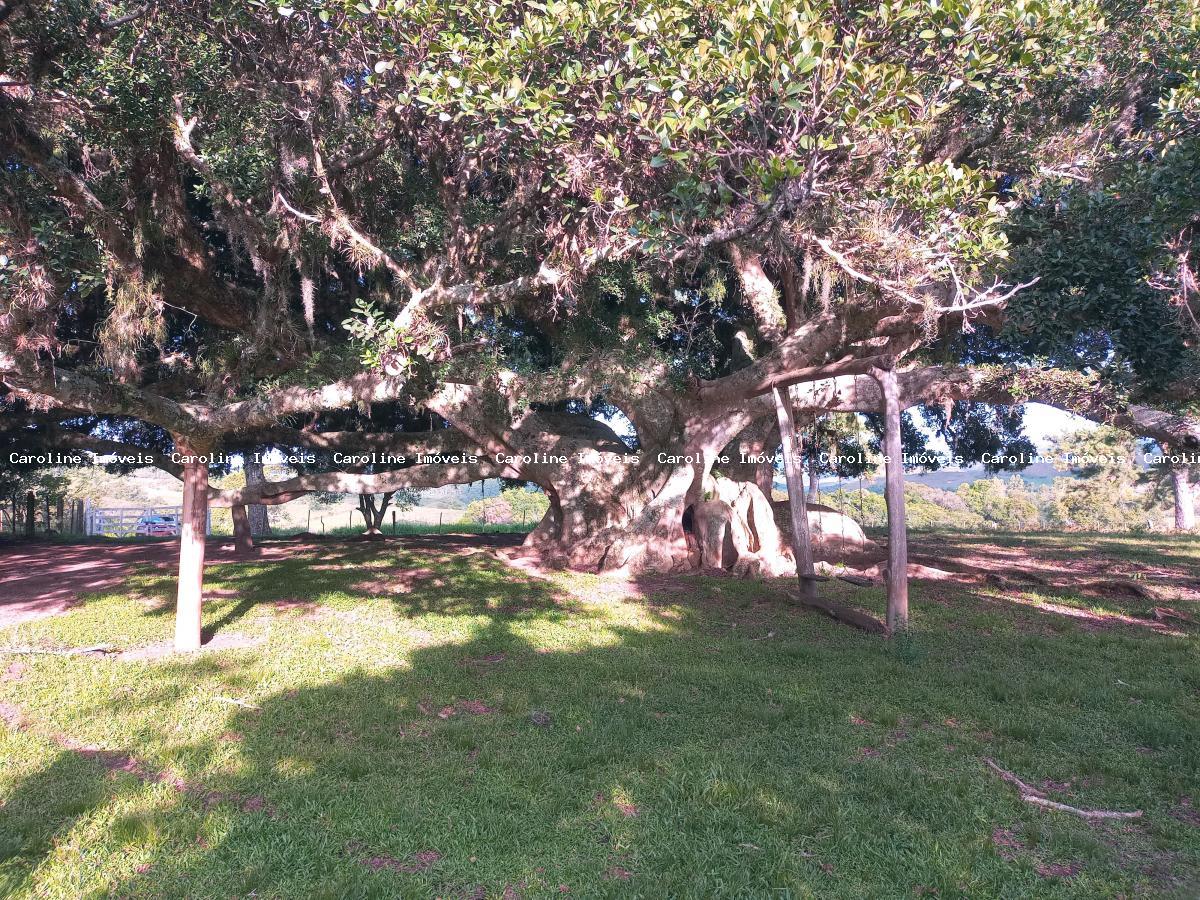 Sítio, 16 hectares - Foto 24