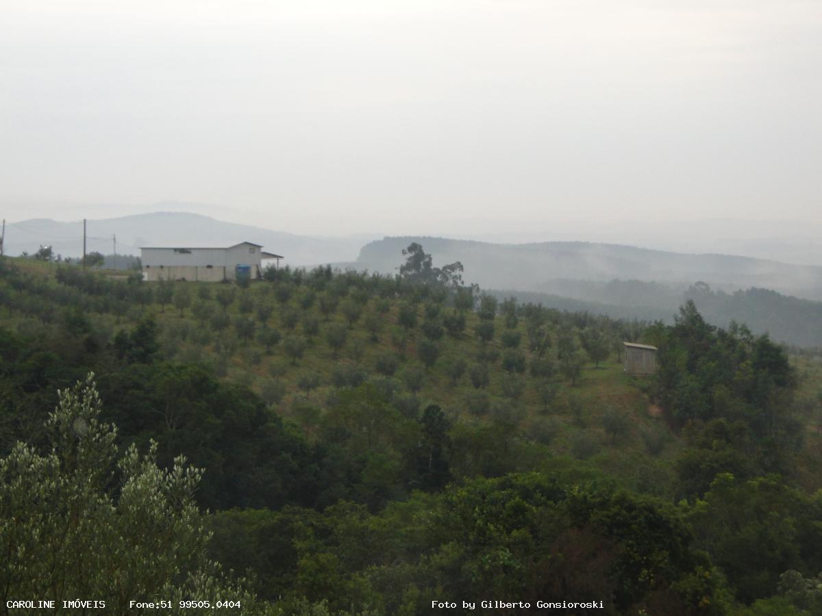 Fazenda, 49 hectares - Foto 31