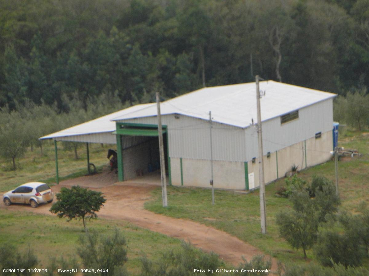 Fazenda, 49 hectares - Foto 3