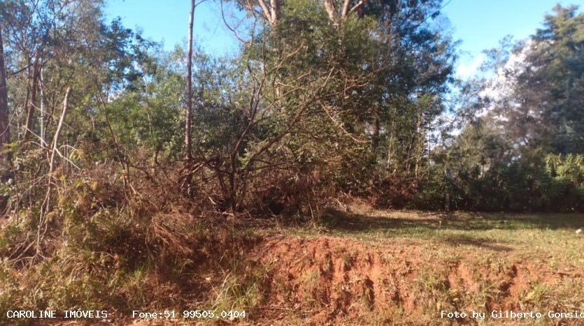 Terreno, 1125 m² - Foto 4