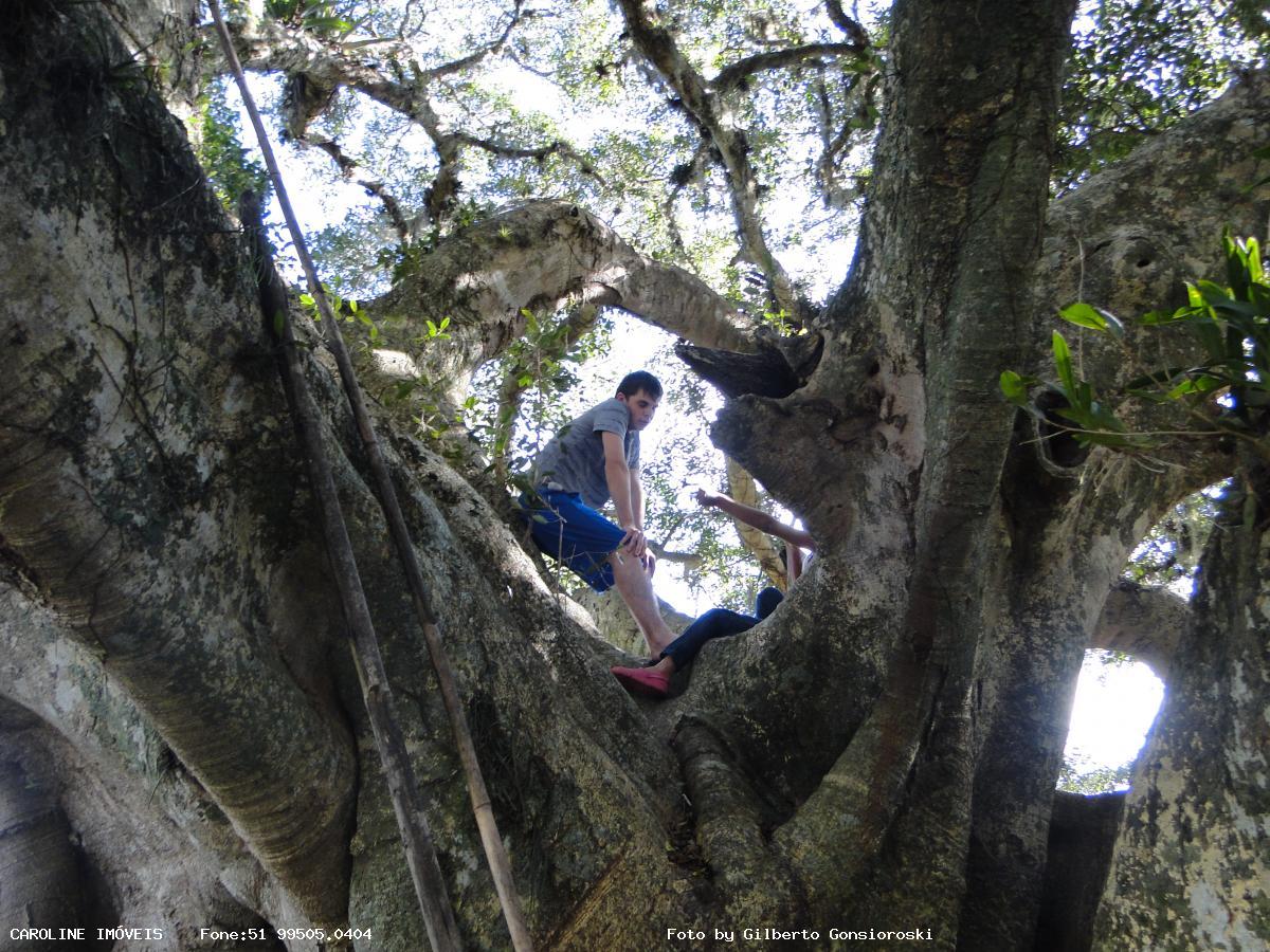 Sítio, 16 hectares - Foto 25