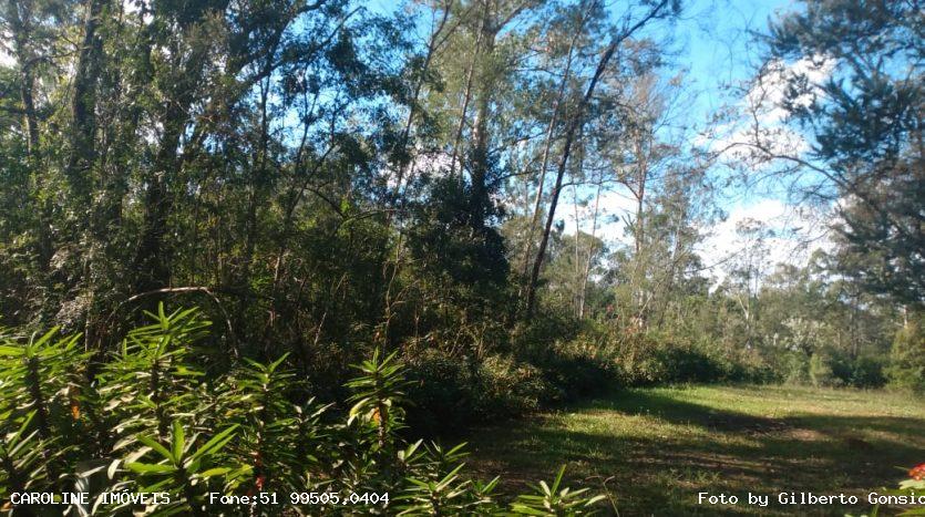 Terreno, 1125 m² - Foto 5