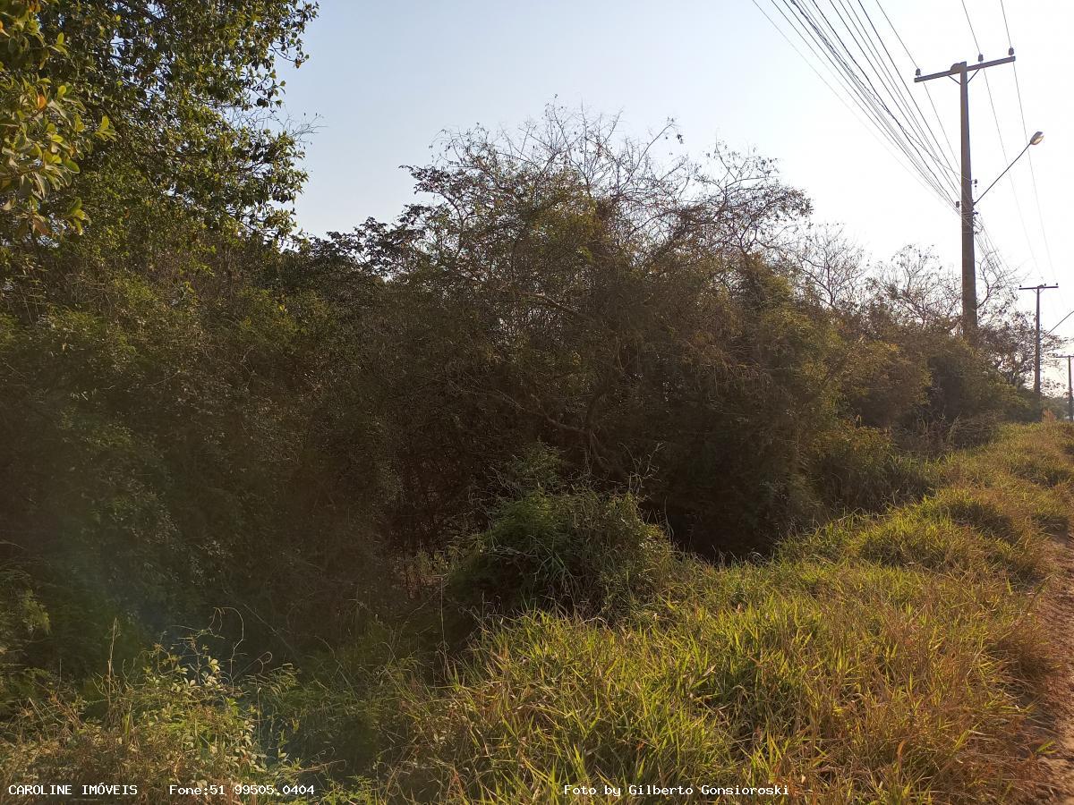 Loteamento e Condomínio, 5 hectares - Foto 5