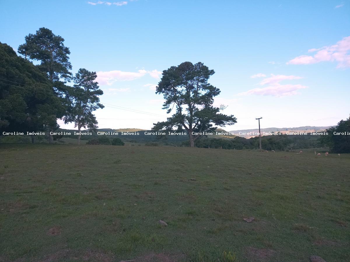 Sítio, 16 hectares - Foto 4