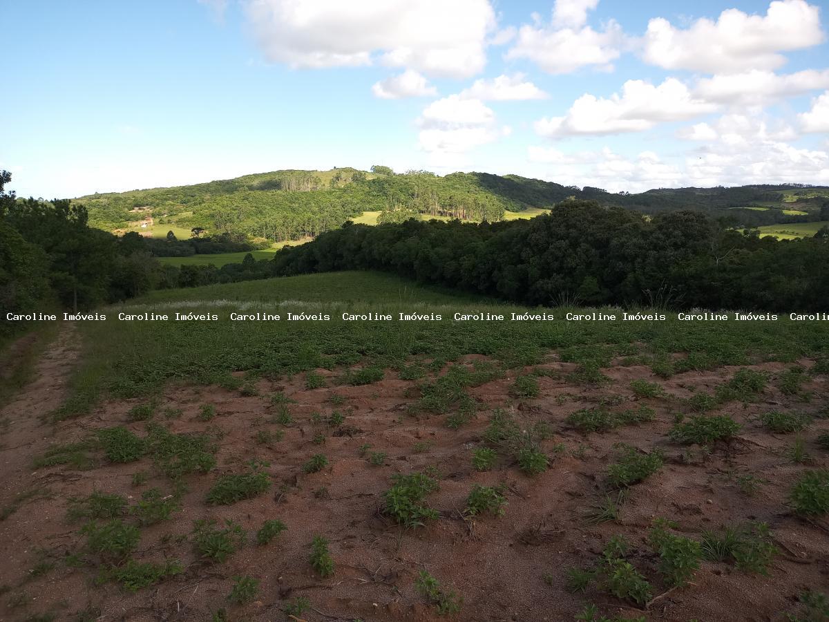 Sítio, 25 hectares - Foto 13