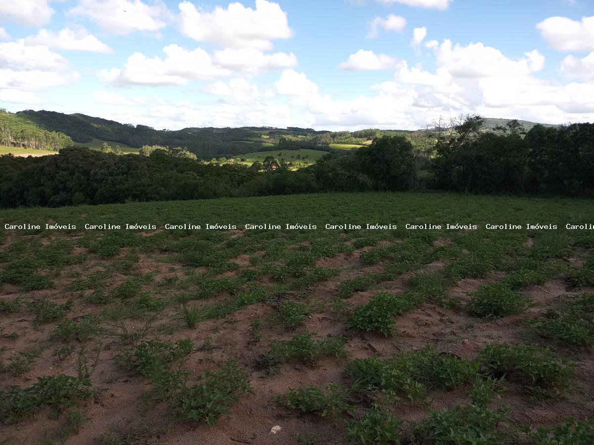 Sítio, 25 hectares - Foto 14