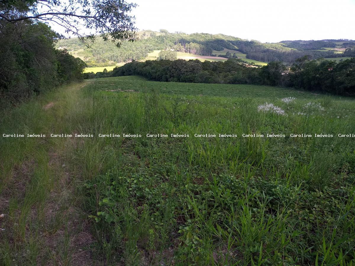 Sítio, 25 hectares - Foto 15