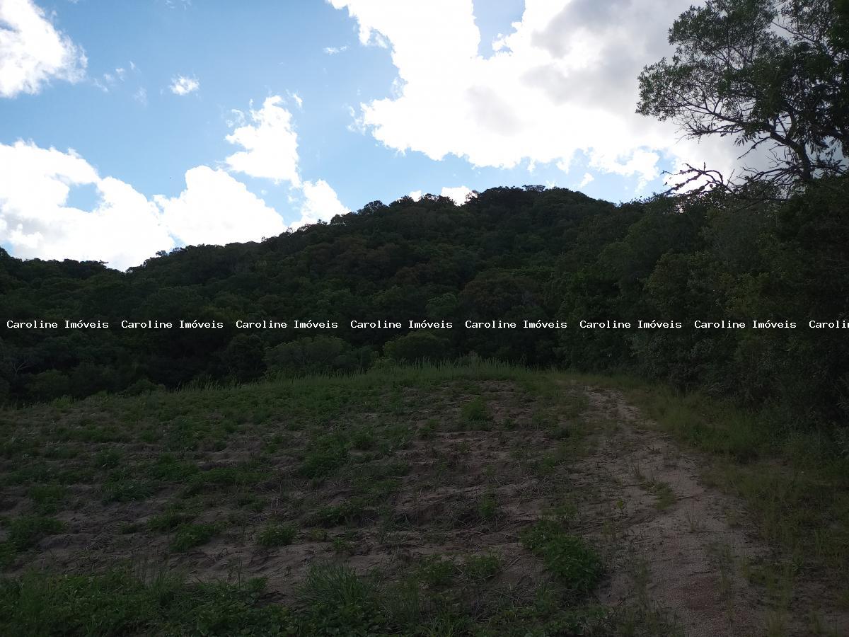 Sítio, 25 hectares - Foto 16