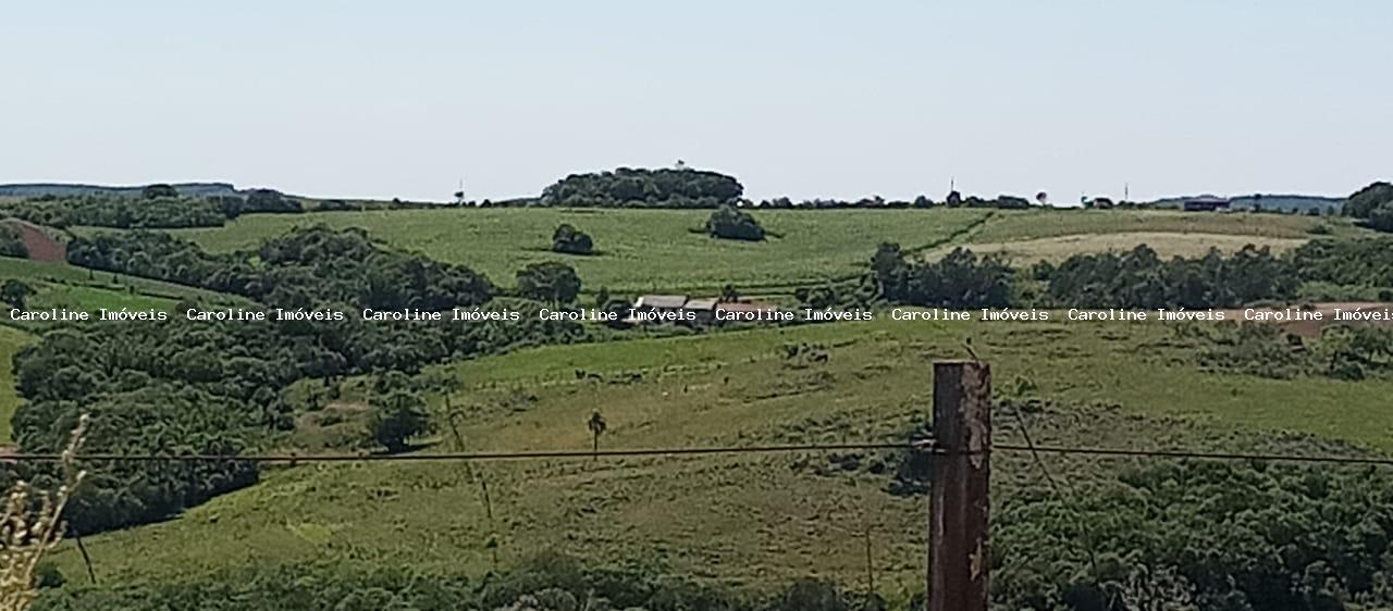 Sítio, 4 quartos, 5 hectares - Foto 25