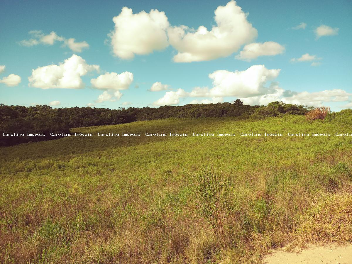 Sítio, 25 hectares - Foto 24