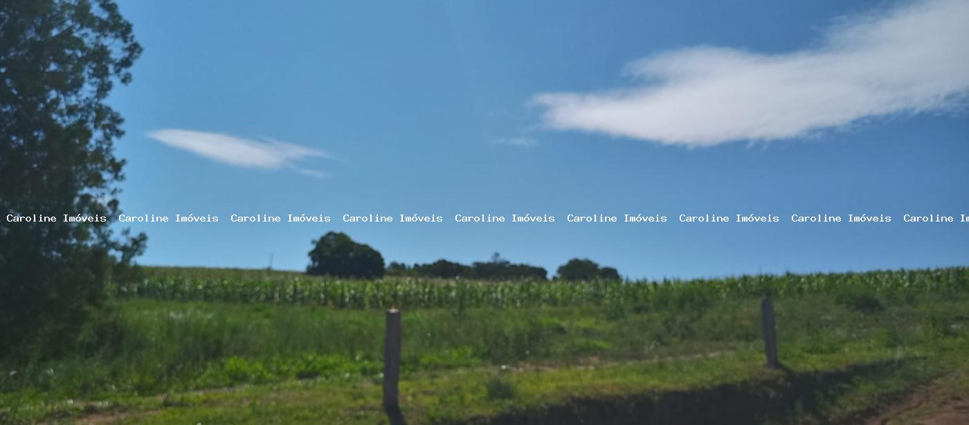 Sítio, 4 quartos, 5 hectares - Foto 26