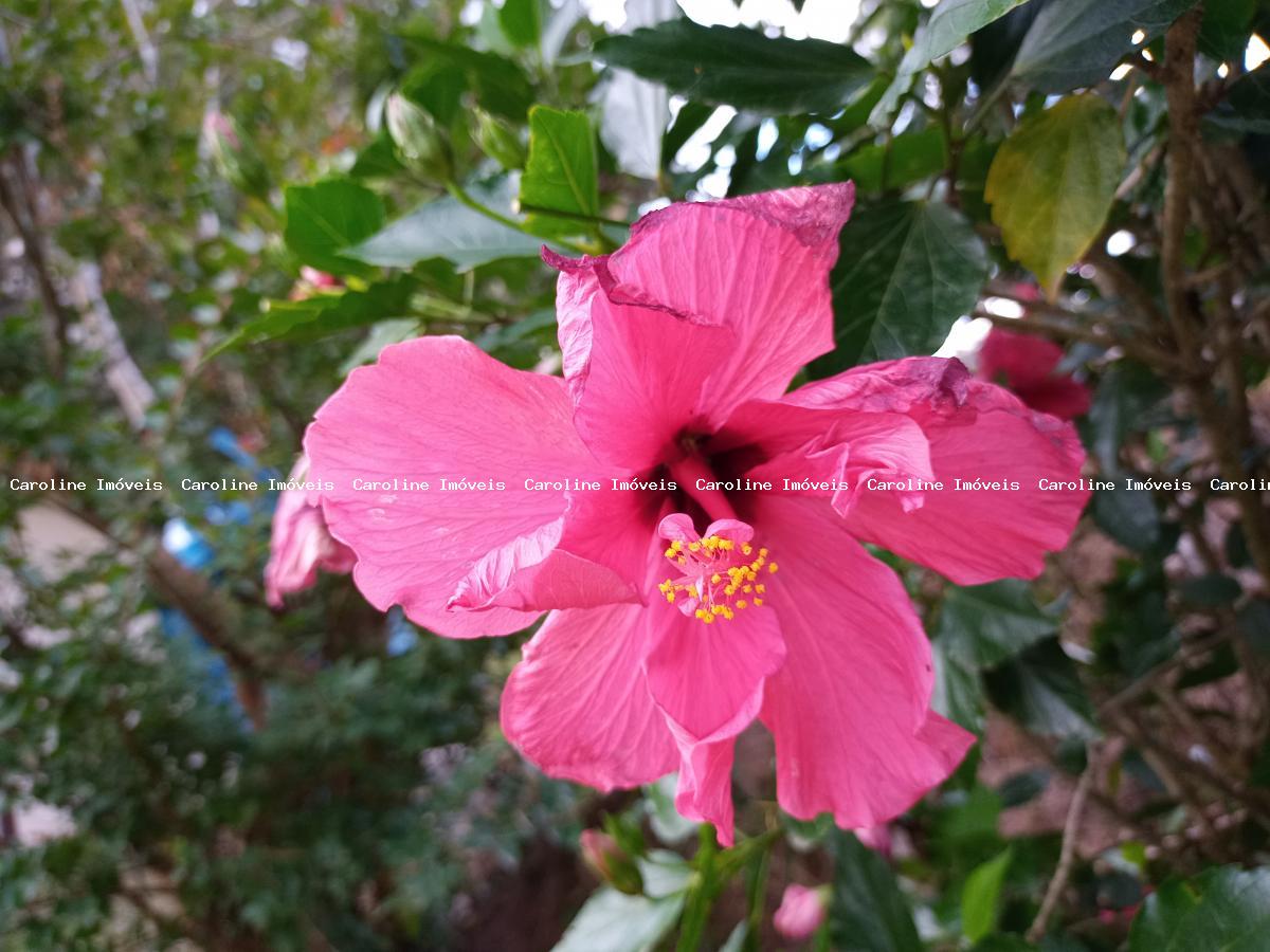 Casa, 2 quartos - Foto 28