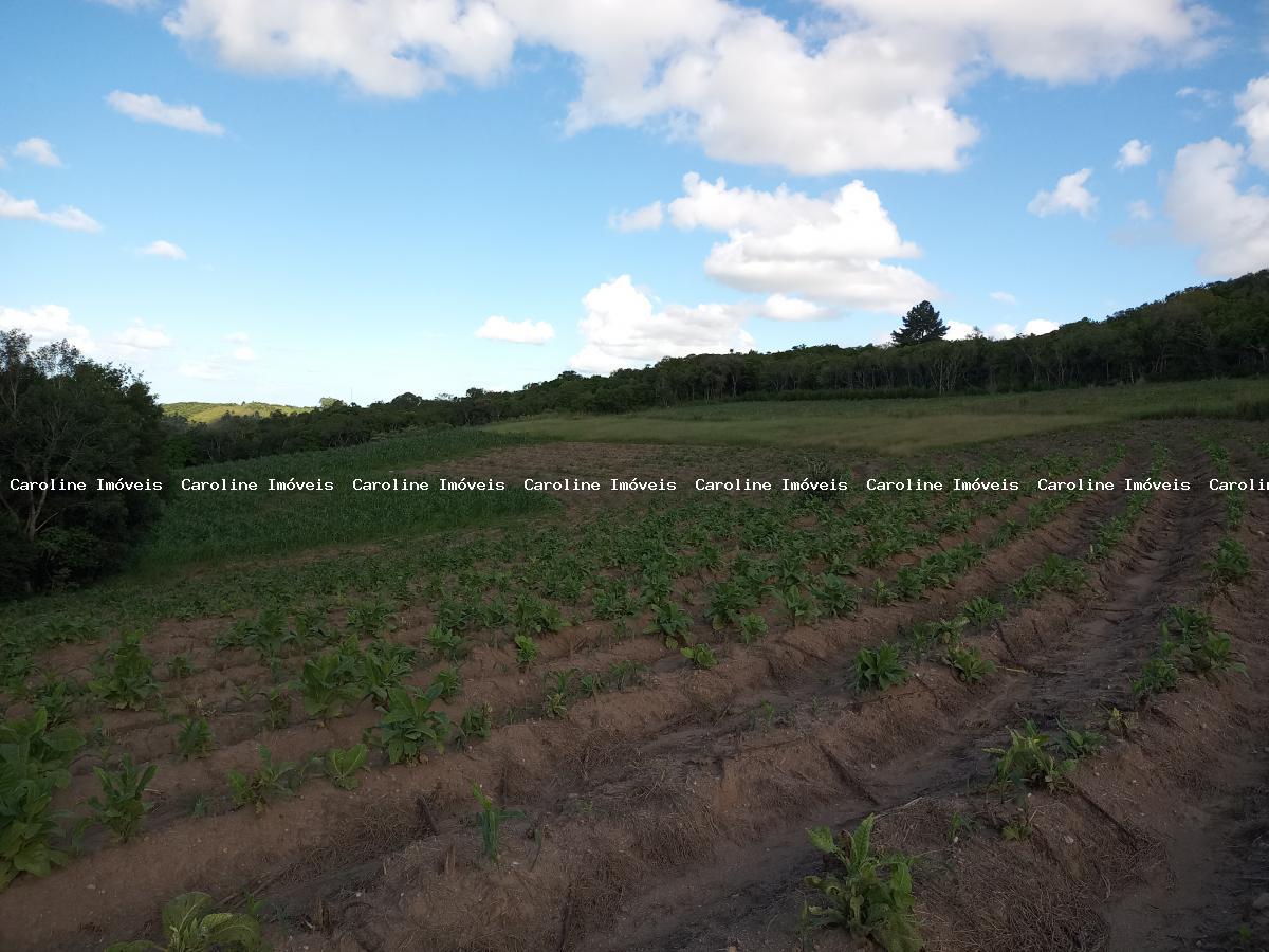 Sítio, 25 hectares - Foto 28