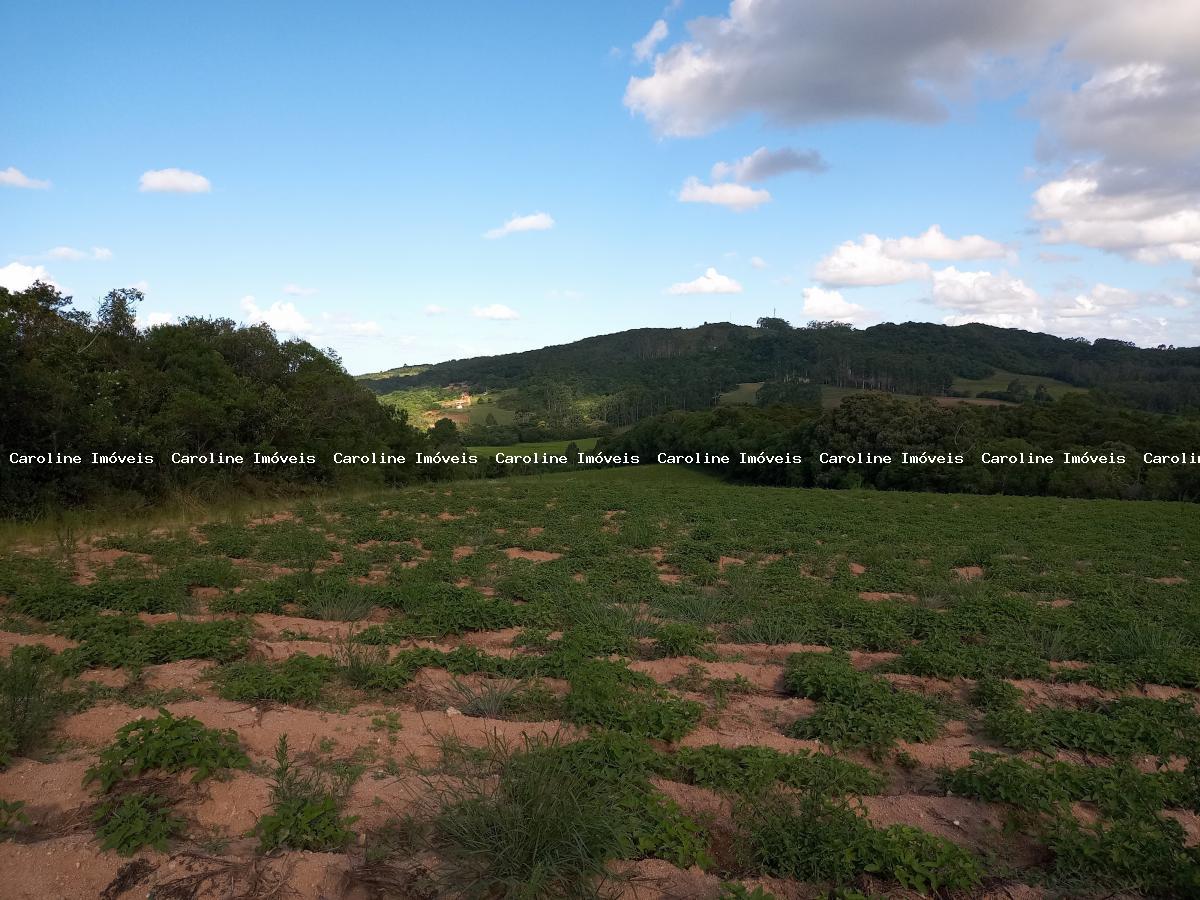 Sítio, 25 hectares - Foto 36