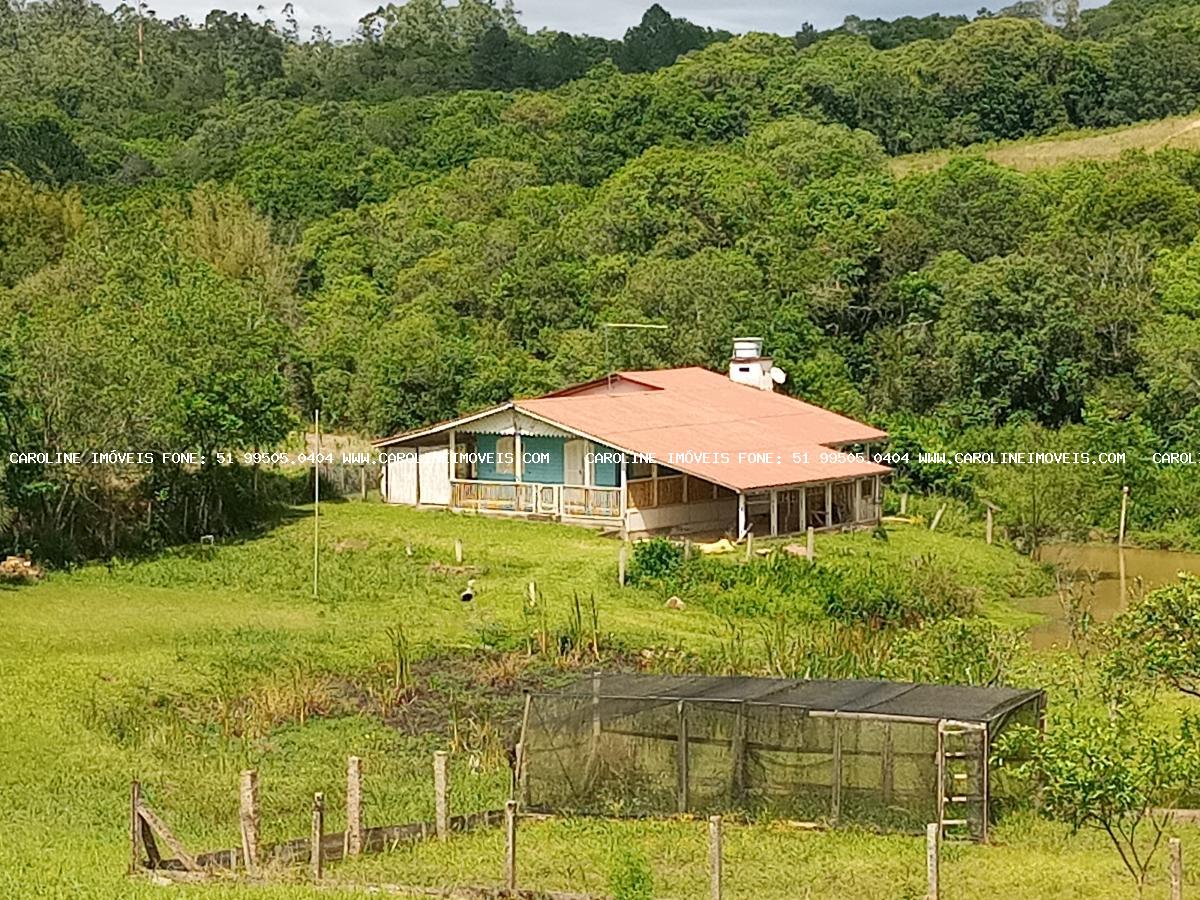 Chácara, 3 quartos, 3 hectares - Foto 4