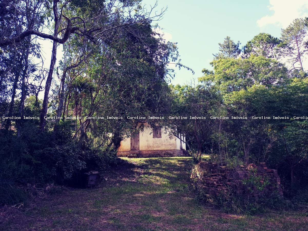 Sítio, 25 hectares - Foto 3