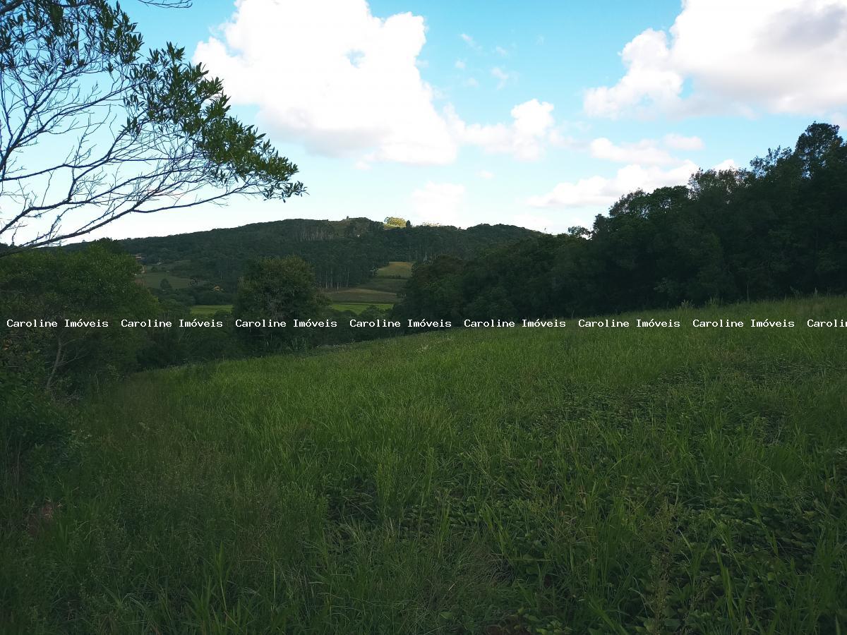 Sítio, 25 hectares - Foto 9