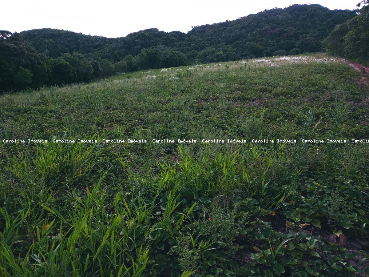 Sítio, 25 hectares - Foto 10