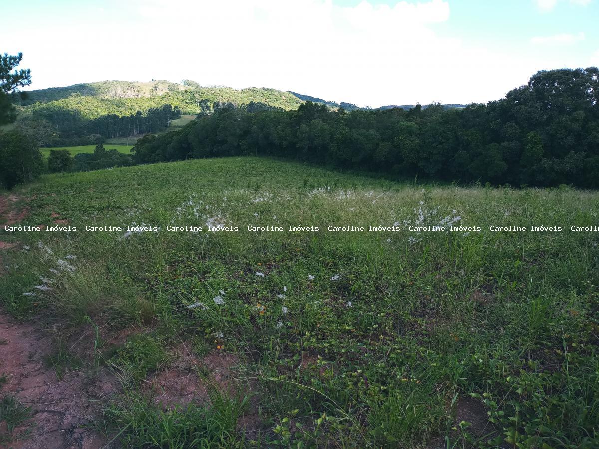 Sítio, 25 hectares - Foto 11