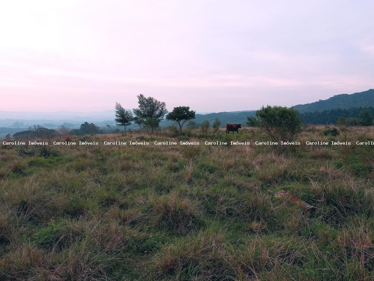 Sítio, 3 quartos, 23 m² - Foto 10